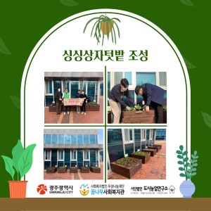 싱싱상자텃밭 조성 이미지